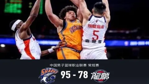 3月29日仁川赛事在即，国乒主力备战升级，莎头与小石头动态更新！