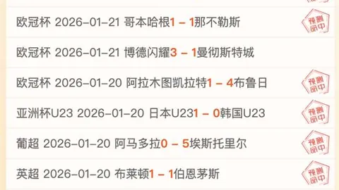 乌迪内斯主帅：本季首要避免失误，意甲力争50分目标
